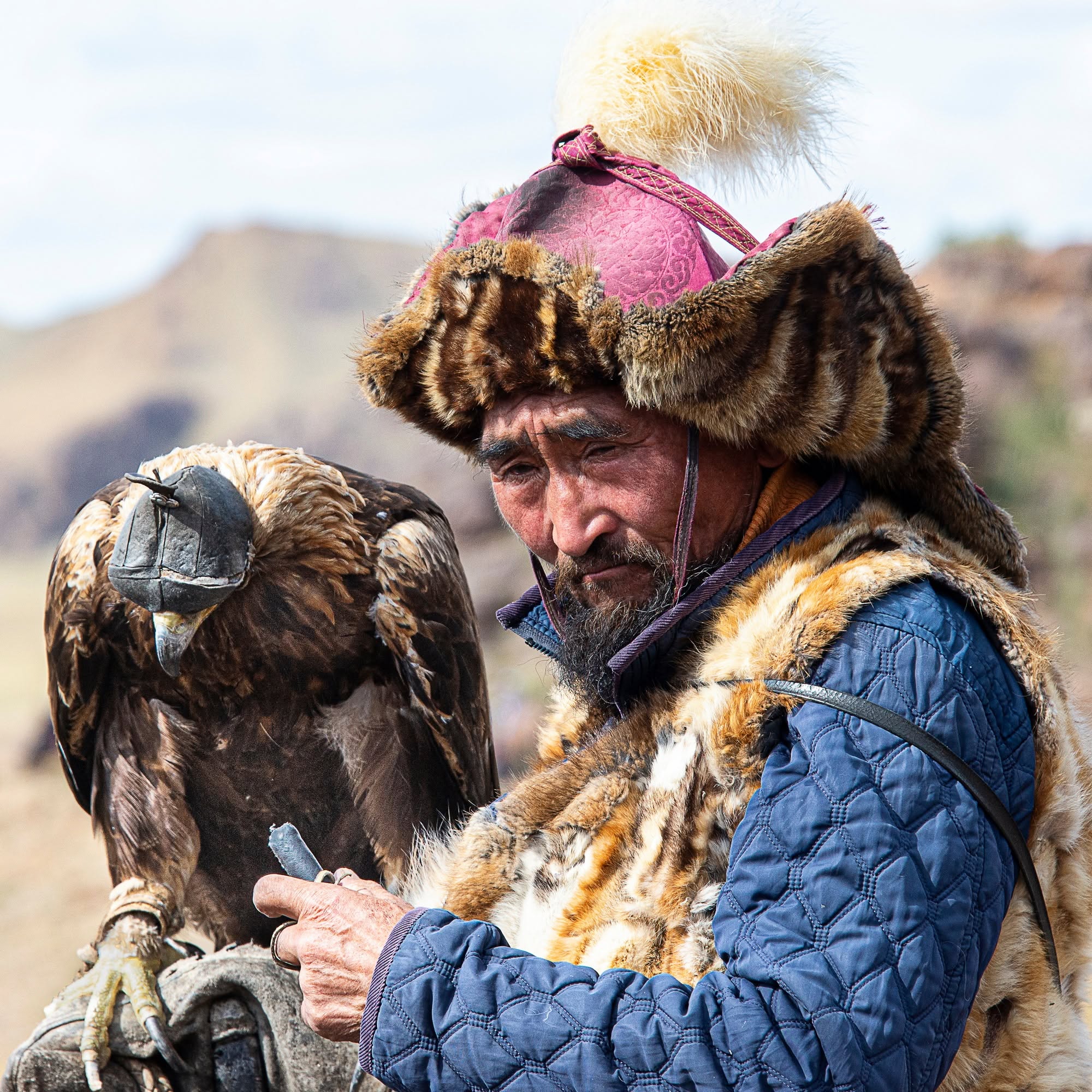 EAGLE 11